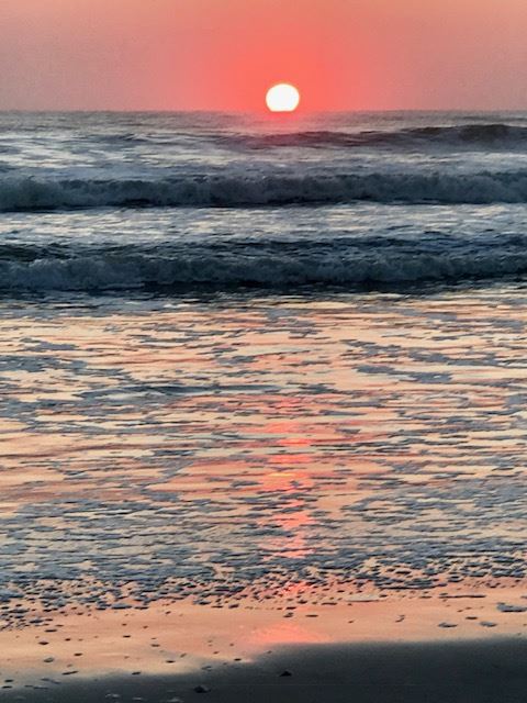 Pink Sunrise