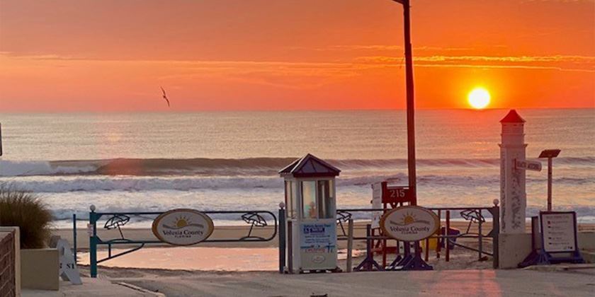 Employment Law Litigation